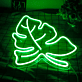 Split Monstera Leaf Outline LED Neon Sign