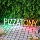 Pizza Tony Custom LED Neon Sign