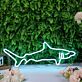 Right-Facing Shark Outline LED Neon Sign