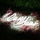 Locos Bar Custom LED Neon Sign