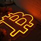 Stylized B Currency Symbol LED Neon Sign