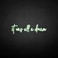 'It was all a dream3' neon sign
