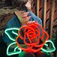 Rose Neon Romantic Bloom in Lustrous Light