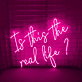 Is This the Real Life? LED Neon Sign