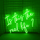 Is This the Real Life? LED Neon Sign