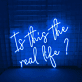 Is This the Real Life? LED Neon Sign