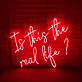 Is This the Real Life? LED Neon Sign