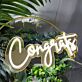 Congrats Gold Backboard LED Neon Sign