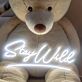 Stay Wild Underlined Script LED Neon Sign