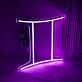 Gemini Zodiac LED Neon Sign