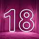 Custom Birthday Number LED Neon Sign