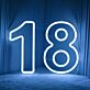 Custom Birthday Number LED Neon Sign