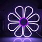 Eight Petal Daisy Flower LED Neon Sign