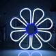 Eight Petal Daisy Flower LED Neon Sign