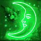Crescent Moon Face LED Neon Sign