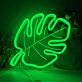 Monstera Leaf LED Neon Sign
