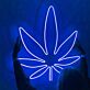 Cannabis Leaf LED Neon Sign