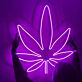 Cannabis Leaf LED Neon Sign