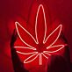 Cannabis Leaf LED Neon Sign