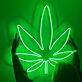 Cannabis Leaf LED Neon Sign