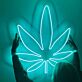 Cannabis Leaf LED Neon Sign