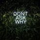 Don't Ask Why Neon Sign for Fun and Positive Spaces