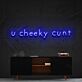 U Cheeky Cunt LED Neon Sign