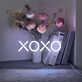 Xoxo Neon Sign for Romantic Spaces