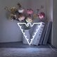 Phoenix Neon Sign for Mythical Themes