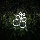 Cute Butterfly Neon Sign Add whimsy to any room