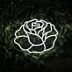 Blooming Rose Head LED Neon Sign