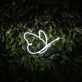 Butterfly Customs Neon Sign Add a whimsical touch to your space