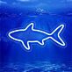 Shark Outline LED Neon Sign
