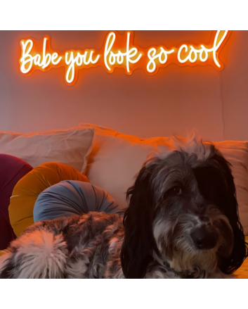 Babe, You&#039;re Absolutely Cool Neon Sign