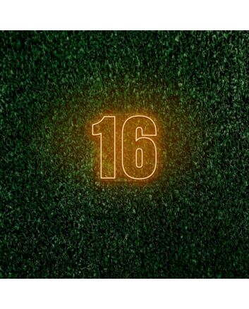 16 LED Neon Sign