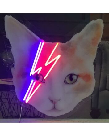 Ziggy Stardust Cat Neon Sign