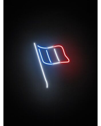 Flag of France Neon Sign