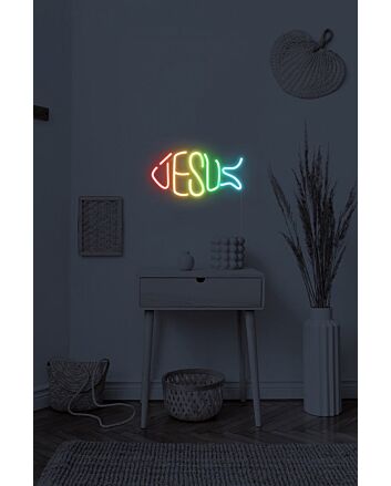 Rainbow Jesus Neon Sign
