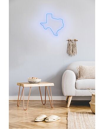 Texas Neon Sign