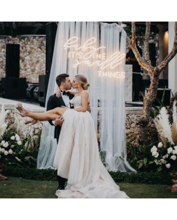 Baby Its The Small Things Neon Sign