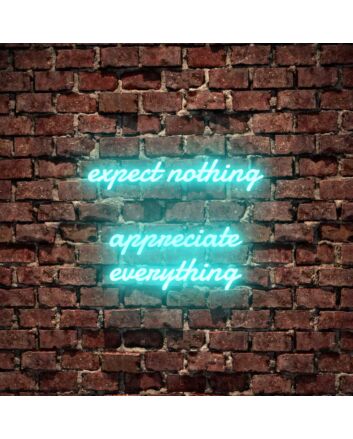 Expect Nothing Appreciate Everything Neon Sign