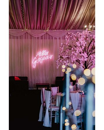 Hello Gorgeous Neon Sign