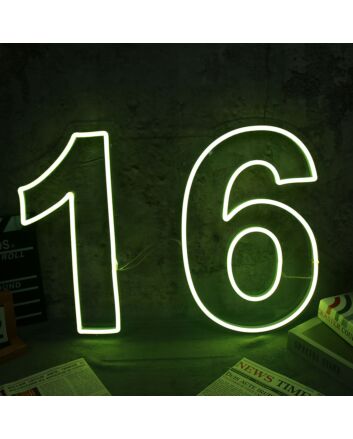 NO 16 Neon Sign