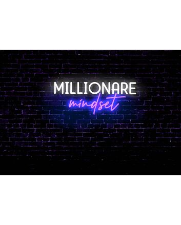 Millionaire Mindset LED Neon Sign
