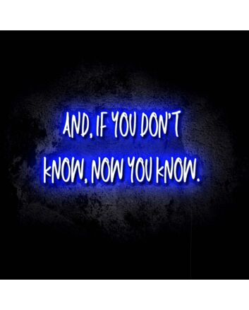 If You Don't Know, Now You Know LED Neon Sign