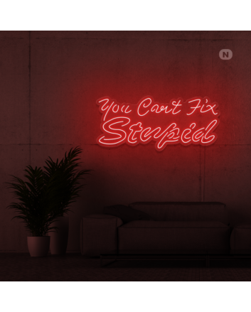 You can't fix stupid Neon Signs