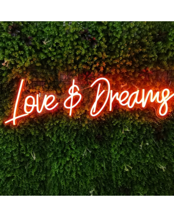 Love and Dreams: Illuminate Your Space with Romantic Neon Glow