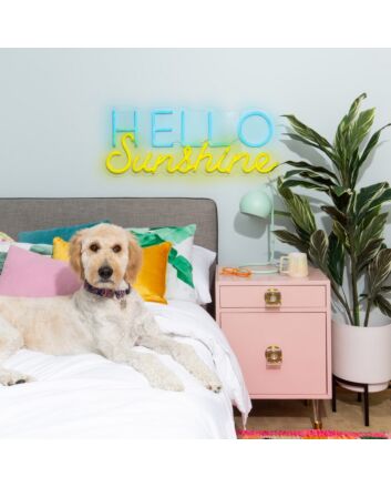 Hello Sunshine Neon Sign for Positive and Happy Decor