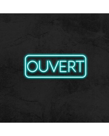 Ouvert Neon Sign for French-speaking Businesses