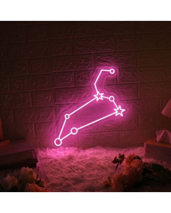 &#39;Leo&#39; neon sign